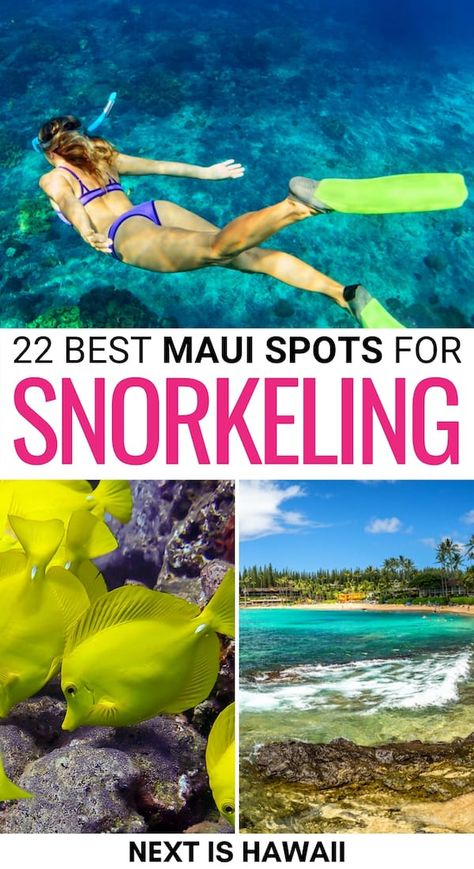 Snorkeling In Hawaii, Maui Excursions, Maui Hawaii Beaches, Molokini Crater, Scuba Diving Hawaii, Best Beaches In Maui, Hawaii Snorkeling, Hawaii Trip Planning, Hawaii Vacation Tips