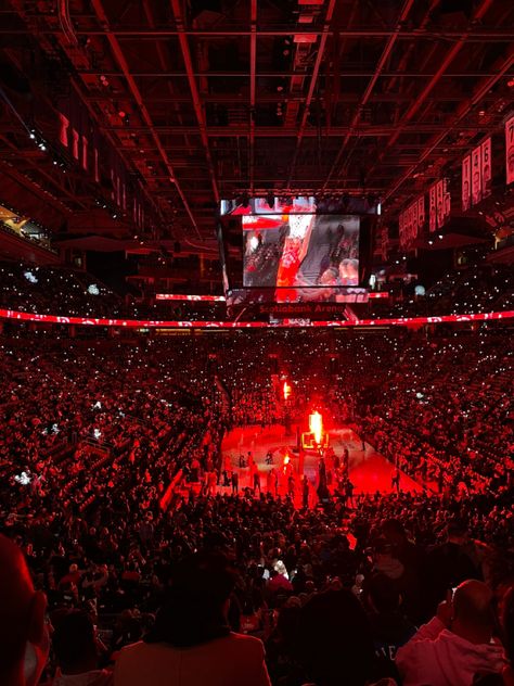 Raptors Game Aesthetic, Toronto Raptors Aesthetic, Raptors Aesthetic, Basketball Game Aesthetic, Toronto Raptors Wallpaper, Basketball Wife, Liz Tomforde, Basketball Wives, Hoop Dreams