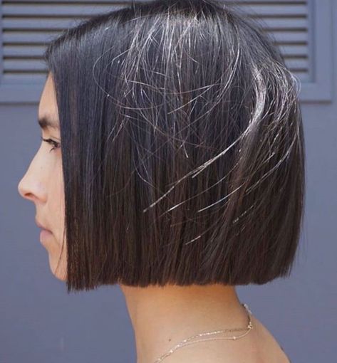 Easy Hairstyles For Medium Hair, Chin Length Hair, Trendy Hairstyle, Bob Hairstyles For Fine Hair, Shot Hair Styles, Short Hair Color, Hair Stylist Life, Short Hair Haircuts, Bob Haircuts