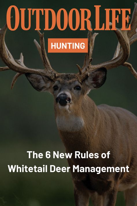 Whitetail hunting in America has boomed and busted. After years of record highs, harvests in many of the powerhouse deer states are down, and they’re staying down. The top deer experts around the country are accepting this as the new normal. So what have we learned? Let’s start with these six rules. Upland Bird Hunting, Deer Hunting Season, Whitetail Hunting, Whitetail Deer Hunting, Deer Hunting Tips, Animal Attack, Big Game Hunting, Waterfowl Hunting, Whitetail Bucks