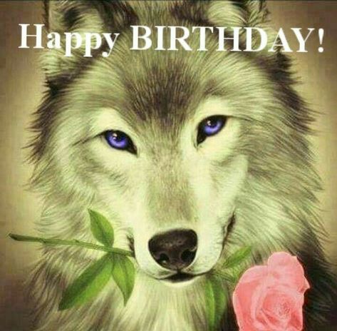 Happy Birthday Wolf, Silly Happy Birthday, Wolf Meme, Alpha Werewolf, N Word, Silly Images, A Wolf, Silly Pictures, Happy Birthday Card