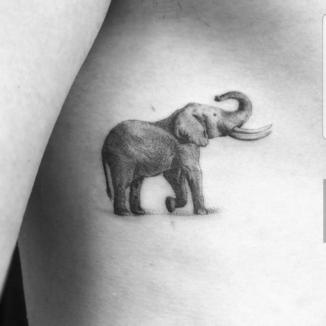 Elephant Tattoo Trunk Up, Elephant Tattoos Trunk Up, Elephant Trunk Up Tattoo, Elephant Tattoos Men, Side Body Tattoos, Vintage Tattoo Art, Elephant Trunk Up, Feminine Tattoo Sleeves, Elephant Tattoo Design