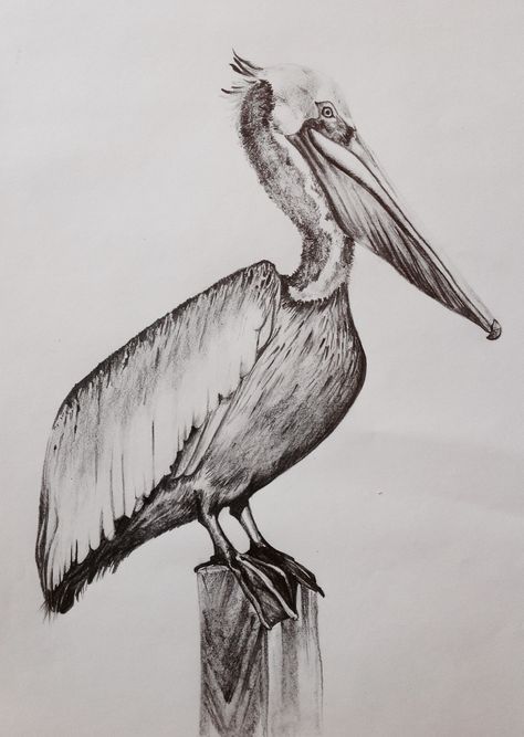 Pelican Illustration, Sophie Standing, Pelican Drawing, Pelican Tattoo, Pelican Art, Textile Embroidery, Sea To Shining Sea, Embroidered Art, Beauty Art Drawings