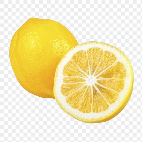 Lemon Png, Graphic Design University, Fruit Png, Vegetable Slice, Fruit Fruit, Fruit Vector, Graphic Design Cards, Lemon Fruit, Food Png