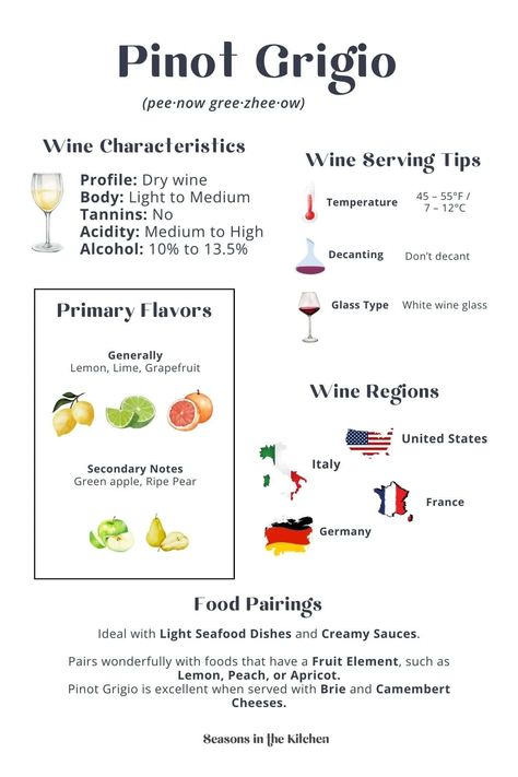 Discover everything about Pinot Grigio in this detailed infographic! From its light, zesty flavors to serving tips, food pairings, and the best wine regions like Italy. Save this for your next wine adventure! Pop over to our site for more info! White Wine Pairing Appetizer, White Wines Guide, White Wine Intensity Chart, Pinot Grigio Food Pairing, White Wine Types, Wine Infographic, Sauvignon Blanc Wine, Chardonnay Wine, Wine Variety