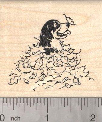 Leaf Pile, English Setter Dogs, Pet Vet, Leaf Drawing, Beagle Dog, Autumn Leaf, Bernese Mountain, Bernese Mountain Dog, Dog Drawing