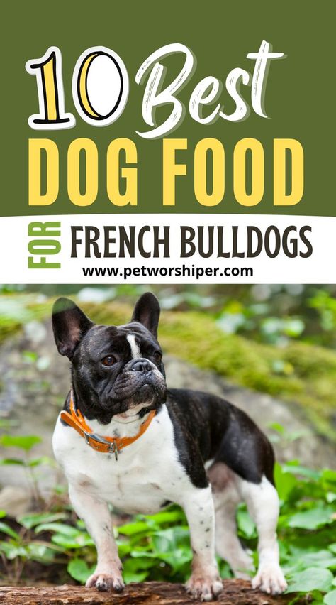 French Bulldogs Puppy Food Recipes, Frenchton Dog, Healthy Homemade Dog Food, Puppy Formula, French Bulldog Breed, French Bulldog Facts, Make Dog Food, Diy Dog Food, Dog Wellness