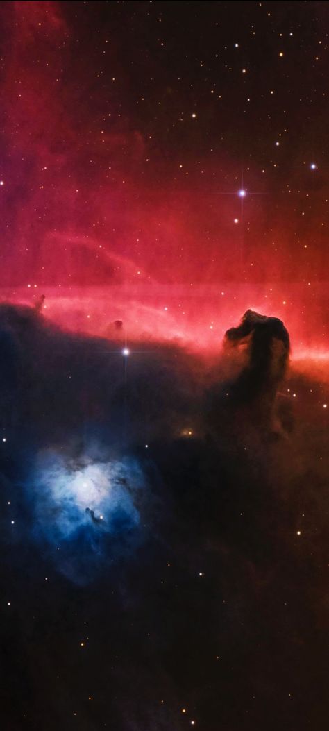 IC-434 The Horsehead Nebula cropped mobile wallpaper 1080x2400 Horsehead Nebula, Space Photography, Space Universe, Our Galaxy, Out Of This World, Space Art, Mobile Wallpaper, Astronomy, Aliens