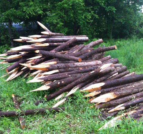 The Little Dog Blog: Building a Garden Fence, Part 1 Natural Garden Fences, Diy Rustic Fence, Stick Garden Fence, Diy Flower Garden Fence, Natural Wood Fence, Flower Garden Fence, Twig Fence, Rustic Fences, Stick Fence