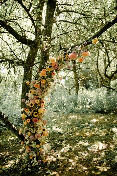 Tree Ceremony Backdrop, Wedding Arch Between Two Trees, Wedding Arbor Alternative, Tree Installation Wedding, Tree Wedding Arch, Field Wedding Ideas, Flower Field Wedding, Tree Installation, Tree Arch