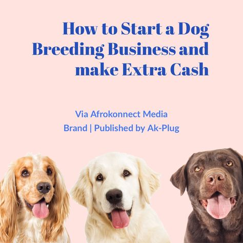 How to Start a Dog Breeding Business and Make Extra Cash How To Start A Dog Breeding Business, Dog Breeders Kennels, Kennel Business, Dog Breeding Kennels, Breeding Business, Dog Breeding Business, Kennel Ideas, Pet Transport, Dog Breeding