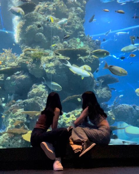 Aquarium Date, Aquarium Photos, Aquarium Pictures, Dream Dates, My Kind Of Love, Marine Biology, Cute Friends, Insta Photo Ideas, Picture Poses