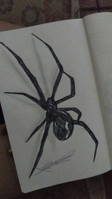 Sketches Small Doodles, Quick Art Ideas To Draw, Spider Anatomy Drawing, Girly Drawings Easy, Realistic Spider Drawing, Easy But Cool Drawings, Small Objects To Draw, How To Draw A Spider, Creepy Sketches Easy