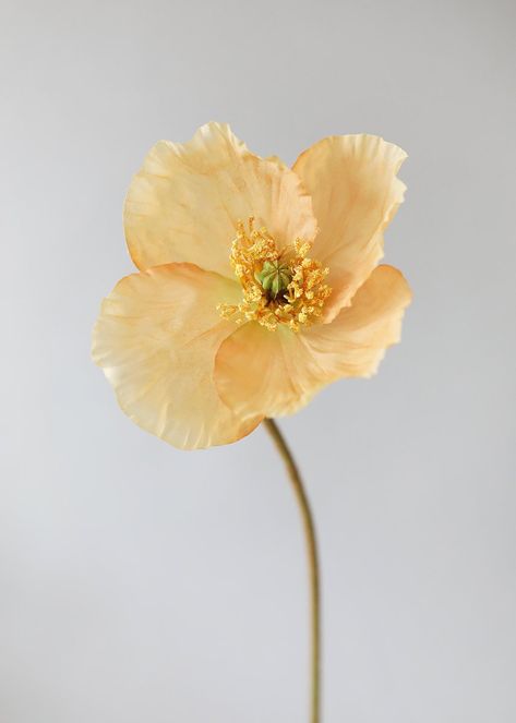 Peach Yellow Poppy | Artificial Summer Wedding Flowers | Afloral.com Artificial Poppies, Yellow Poppy Flower, Floral Reference, Diy Wedding Flowers Bouquet, Collage Items, Diy Flower Projects, Wedding Flower Bouquets, Flower References, Peach Peony