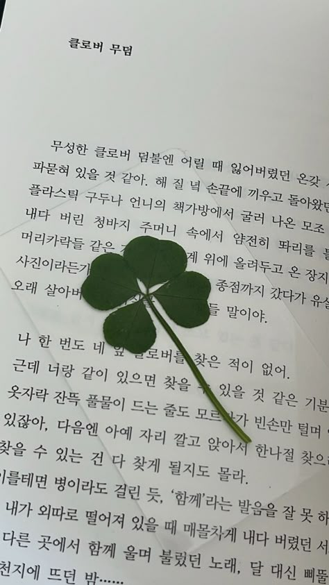 Four Clover Leaf, Disney Movie Art, Wallpaper Computer, Korean Language Learning, Mood And Tone, Funny Phone Wallpaper, Iphone Wallpaper Photos, Instagram Feed Ideas, Leaf Wallpaper