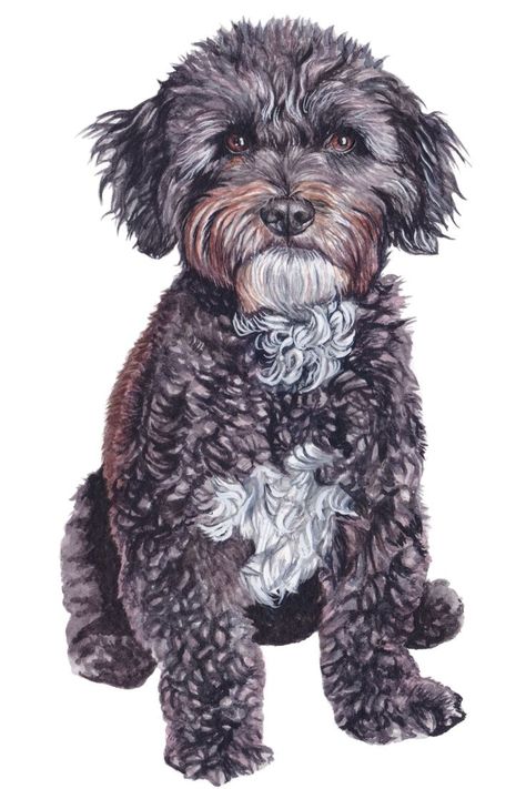 Chihuahua Drawing, Poodle Mix Puppies, Dog Portraits Art, Custom Pet Art, Yorkie Poo, Watercolor Pet Portraits, Doodle Dog, Poodle Mix, Poodle Puppy