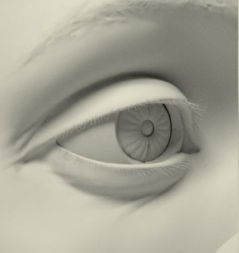 eye, Tai ji on ArtStation at https://www.artstation.com/artwork/Ne58P متحف فني, Eye Study, Anatomy Sculpture, Sculpture Techniques, Sculpture Art Clay, Anatomy For Artists, Wood Carving Art, Portrait Sculpture, Sculpting Clay