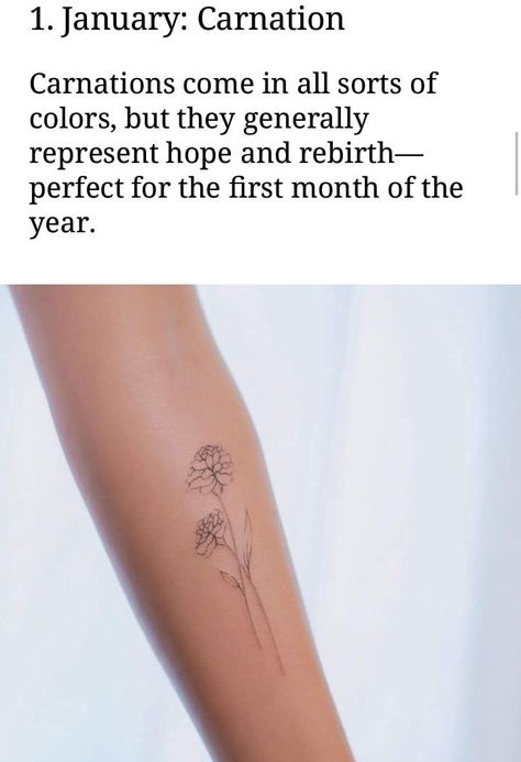 #tattoos #meaning #tattooideas #january #carnation Carnation Flower Meaning, Month Flower Tattoo, Back Ear Tattoo, Carnation Flower Tattoo, January Flower, January Carnation, Tattoos Meaning, Birth Flower Tattoos, Flower Meanings