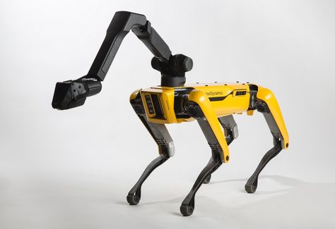 Mobile Robot, Robot Dog, Boston Dynamics, Big Robots, Massachusetts Institute Of Technology, Dogs For Sale, Robot Design, Robots Concept, New Uses