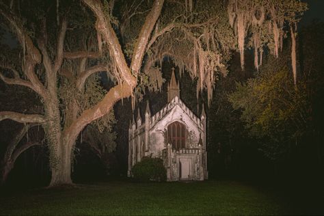 Thorn Aesthetic, Paradis Sombre, Southern Gothic Aesthetic, Church Aesthetic, American Gothic, Yee Haw, Southern Gothic, Gothic Aesthetic, Gothic Horror