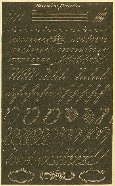 spencerian handwriting exercises Spencerian Penmanship, Handwriting Examples, Pretty Handwriting, Calligraphy Tutorial, Copperplate Calligraphy, Handwriting Styles, Calligraphy Practice, Hand Lettering Alphabet, Cursive Handwriting