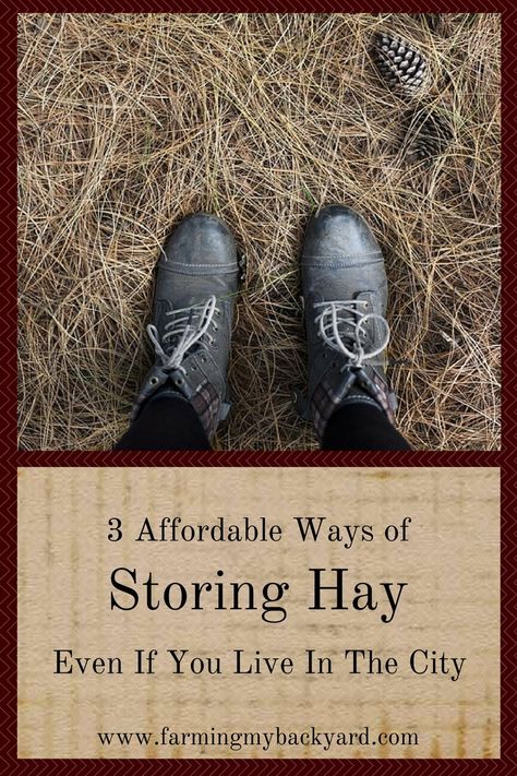 Storing hay bales in the city takes some creativity but small space hay storage is possible for urban farmers. Here are 3 ways to keep it clean. Raising Rabbits For Meat, Urban Farms, Hay Storage, Rabbit Farm, Meat Rabbits, Goat Care, Homesteading Diy, Raising Goats, Farm Plans