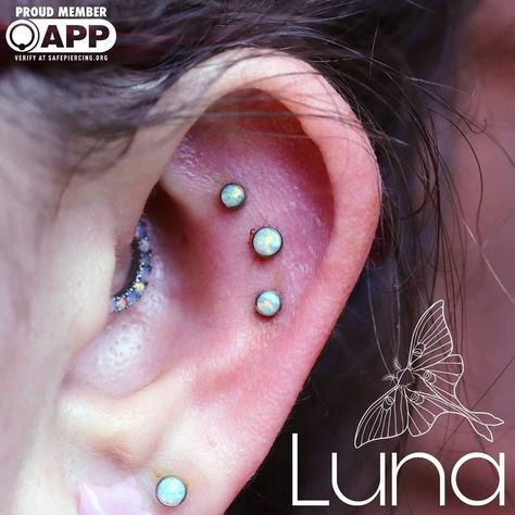 Triple Flat Piercing, Ear Ideas, Flat Piercing, Piercings Ideas, Curated Ear, Cool Ear Piercings, Maria Tash, Piercing Studio, Piercing Ideas