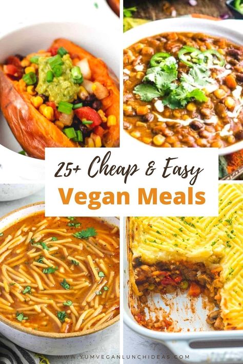 10 Min Vegan Meals, 5 Ingredient Plant Based Recipes, Budget Friendly Vegan Meals, Cheap Plant Based Meals, Cheap Vegan Dinners, Cheap Vegan Recipes, Vegan Budget, Recipes Plant Based, Cheap Vegetarian Meals