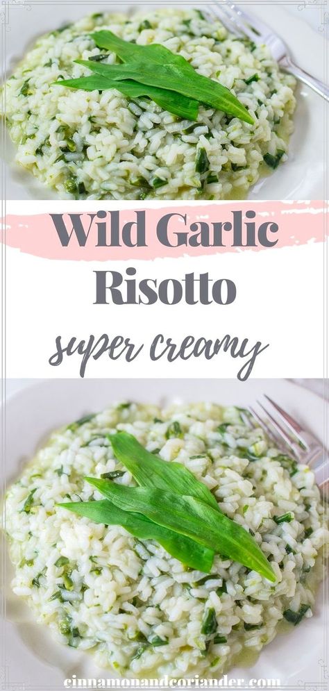 This wild garlic risotto made in the Thermomix is a traditional German comfort food recipe for spring and wild garlic season! Try the variation with asparagus & goat cheese. Vegan version also included! Wild Garlic Recipe, Garlic Risotto, Asparagus Goat Cheese, Healthy Light Lunches, Coriander Recipes, Wild Garlic Pesto, Vegan Risotto, Leek Recipes, Cheese Vegan