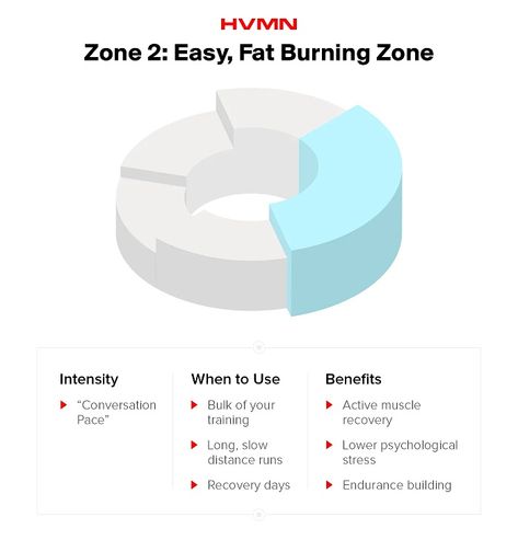 why run in zone 2 Zone 2 Running, Zone 2 Training, Zone 2 Cardio, Blue Zone Week One, Greenhill Zone Sonic, Zone 6a Gardening, Zone 8a Gardening, Heart Rate Training, Heart Rate Zones