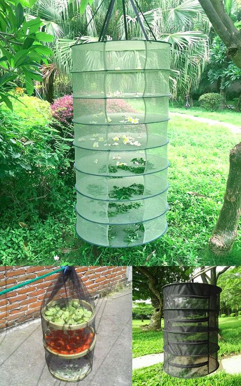 Solar Dehydrator, Herb Diy, Dry Herbs, Hanging Herbs, Best Hacks, Food Dehydrator, Astuces Diy, Deco Nature, Dehydrator Recipes