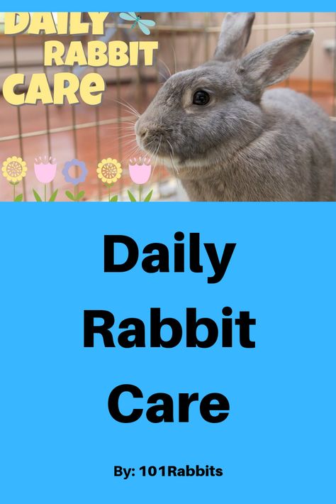 Food Routine, Rabbit Health, Best Pets For Kids, Bunny Ideas, Pet Rabbits, Raising Rabbits, Pet Bunny Rabbits, Indoor Rabbit, Rabbit Cages