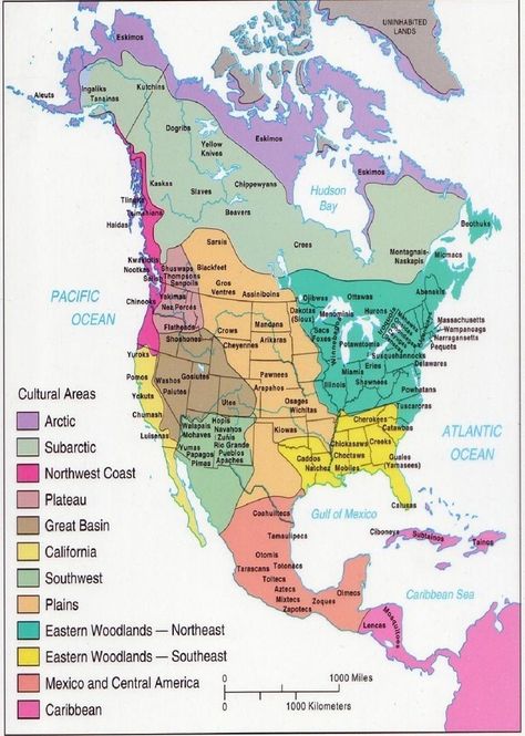 Wilde Westen, Indian History, Native American History, Native American Culture, American Culture, Us History, American People, Early American, American Heritage