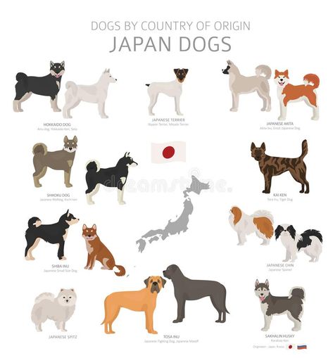 Hokkaido Dog, Dog Breeding Kennels, Dog Breeds Chart, Asian Dogs, Japanese Dog Breeds, Dog Design Art, Japanese Dog, Japanese Akita, Dog Breeds List