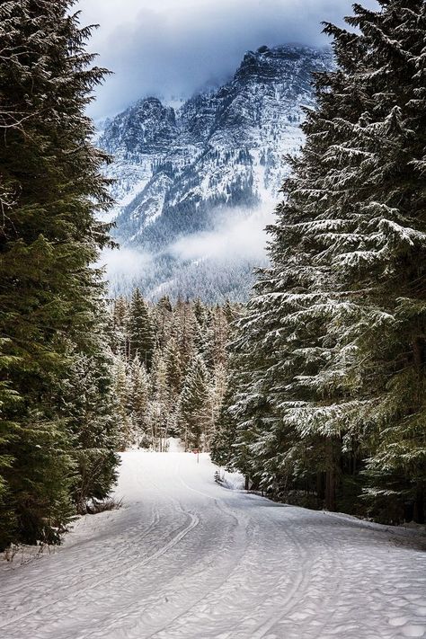 Glacier National Park,  Montana Brasov, Winter Scenery, Winter Beauty, Snow Scenes, Winter Wonder, Glacier National, Glacier National Park, Winter Landscape, Winter Scenes