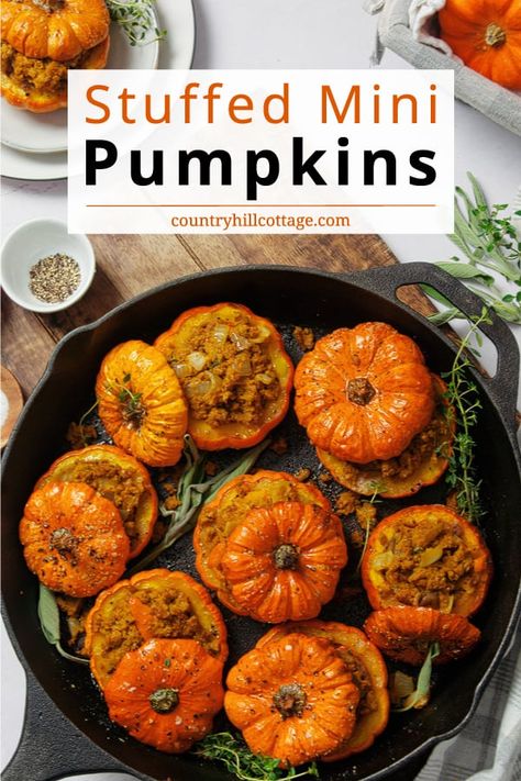 Mac And Cheese Stuffed Pumpkin, Stuffed Baked Pumpkin Recipes, Autumn Side Dish Recipes, Miniature Thanksgiving Dinner, Seasonal Dinner Recipes Fall, Autumn Dinner Recipes Fall, Stuffed Mini Pumpkin Recipes, What To Do With Mini Pumpkins, Pumpkin Ground Beef