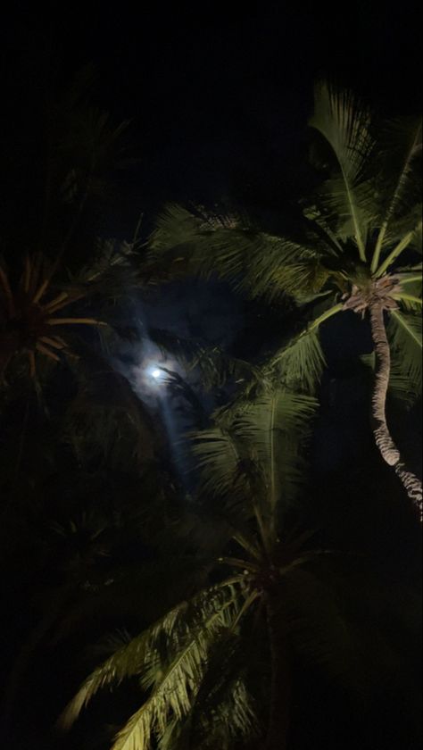 #palmtrees#maldives#holiday#abroad#vacation#luxury#moon#night#beach#ocean#summer Maldives At Night, Maldives Night, Holiday Abroad, Maldives Holidays, Vacation Luxury, Abel The Weeknd, Night Swimming, Moon Night, The Weeknd