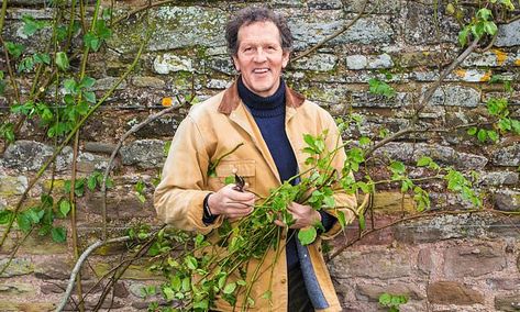 Don’t hold back when pruning your climbing roses, says Monty Don Generous Gardener Climbing Rose, Longmeadow Garden, Thornless Climbing Roses, Rose Fence, Pruning Climbing Roses, New Dawn Climbing Rose, Rose Climbing, Hillside Gardening, Entry Garden