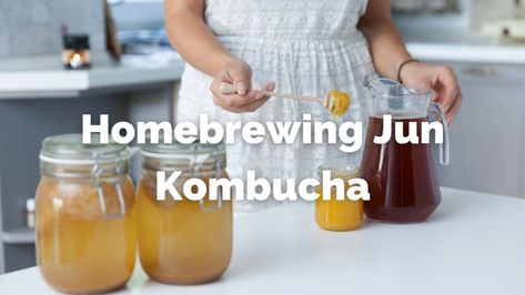 Homebrewing Jun Kombucha - Junbucha | Jun Kombucha Jun Tea, Jun Kombucha, Fermenting Jars, Green Tea And Honey, Gallon Jars, Jun Jun, Healthy Probiotics, Probiotic Drinks, Water Kefir