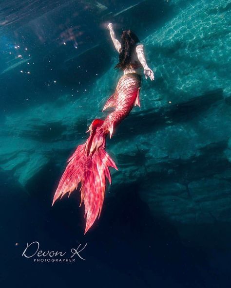 9,672 Likes, 38 Comments - Finfolk Productions (@finfolkproductions) on Instagram: “"You are magic. Don't ever apologize for the fire in you." ❤️ Photo @devonkphotographer for…” Celebrities Quotes, Swimmable Mermaid Tail, Silicone Mermaid Tails, Mermaid Photography, Mermaid Man, Fantasy Mermaids, Red Mermaid, Mermaid Swimming, Real Mermaids