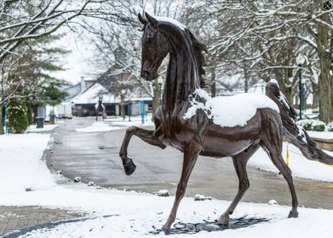 This Epic Road Trip Leads To 7 Iconic Landmarks In Kentucky Cumberland Falls, Kentucky Horse Park, Cave City, Cumberland River, My Old Kentucky Home, Iconic Buildings, Roadside Attractions, Louisville Kentucky, House Museum