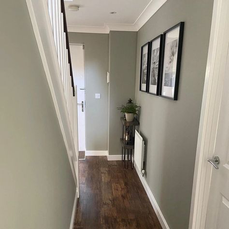 Grey hallway with dark wooden floors Grey Hallways And Stairs, Dark Wood Floor Hallway Ideas, Dark Color Hallway, Hallway With Dark Wood Floor, Green Carpet Hallway, Colour Ideas For Hallway And Stairs, Modern Hallway Colours, Dark Floor Hallway Ideas, Dark Floors Green Walls