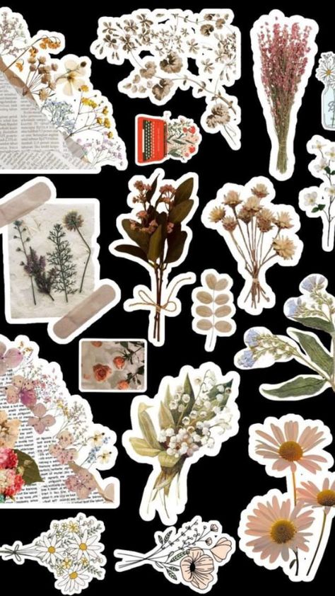 Vintage Scrapbook Paper Sticker, Scrapbook Flower Stickers Printable, Printable Flowers Cutout, Aesthetic Stickers Flowers, Printify Design Ideas, Scrapbook Design Ideas Aesthetic, Asthetic Backround Insta Story, Alfabet Aesthetic, Aesthetic Flower Stickers Printable