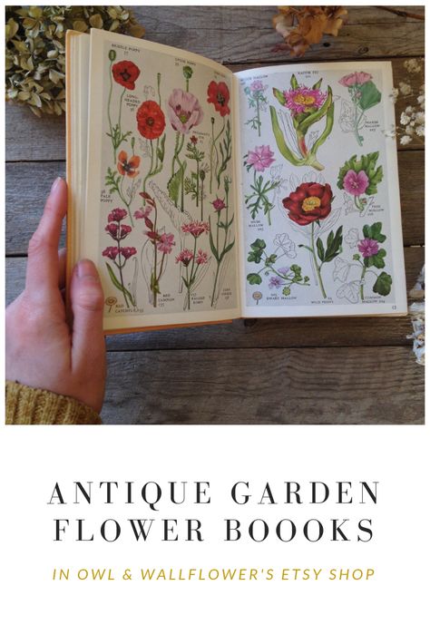 I love this Wildflower Field Guide, first published in the 1950s Book Guide, Fairy Stickers, Victorian Books, Flower Picture, Handmade Thank You Cards, Creative Soul, Vintage Junk Journal, Flower Fairies, Artist Gifts