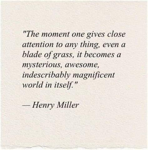 Gene Keys, Victoria Erickson, Writing Coach, Henry Miller, Literature Quotes, Poetry Words, Writing Poetry, Literary Quotes, Poem Quotes