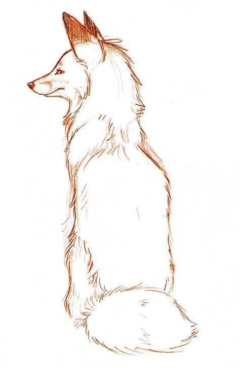 Sitting Front View, Looking Up Drawing, Fox Drawing Sketches, Front View Drawing, Fox Sketch, Fox Sitting, View Drawing, Fox Artwork, Fox Images