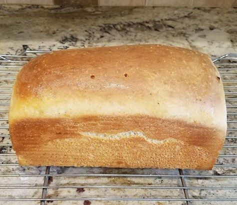 Salt Rising Bread Recipe, Salt Bread Recipe, Salt Rising Bread, Sandwhich Bread, Homemade Sandwich Bread, Bread Crumbs Recipe, Rhyme Or Reason, Crumb Recipe, Bread Maker Recipes