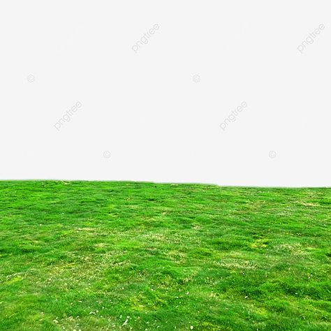 think green,green,grass,green grass,grass background,grass floor,grass icon,background,ground,grass ground,ground grass,grass clipart,background clipart,green clipart,ground clipart Green Grass Png, Ground Background, Grass Floor, Mood Board Layout, Grass Png, Cartoon Grass, Grass Clipart, Board Layout, Green Grass Background