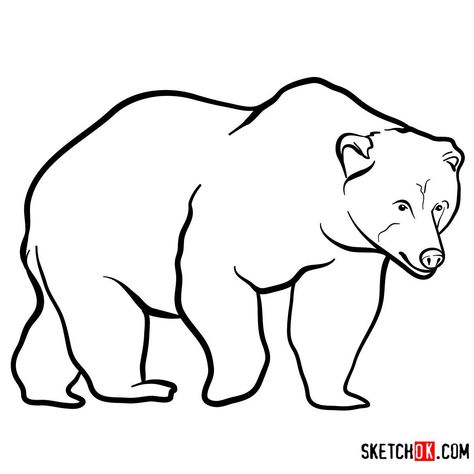 How to draw a Brown bear | Wild Animals Bear Front View, Draw A Polar Bear, Wild Animals Drawing, Paw Drawing, Easy Drawing Guides, Animal Outline, Drawing Guides, Mouth Drawing, Bear Drawing