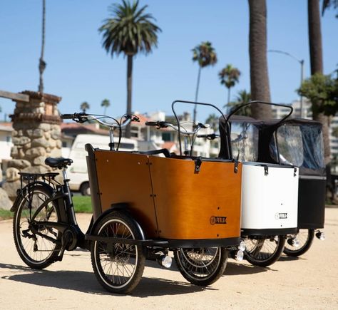 Biking with Kids: The 16 Best Family Cargo Bikes Adaptive Bikes, Electric Cargo Bike, Family Bike, Best Electric Bikes, Cargo Rack, Local Farmers Market, Cargo Bike, Electric Bikes, Bike Run